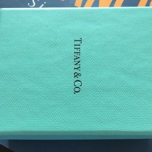 Earrings- sent to me by mistake